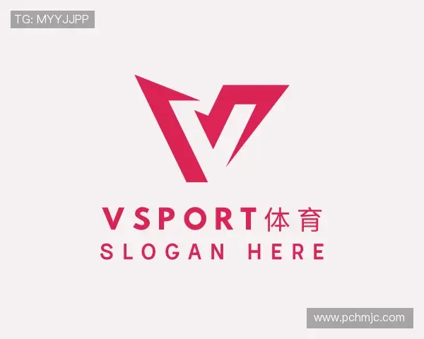 了解VSport体育在线登录